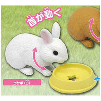 Capsule ANIA chiisanaosewa animal hen [5.Rabbit (white)]