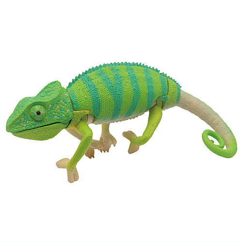 Bizarre creatures natural history [1.Chameleon A]