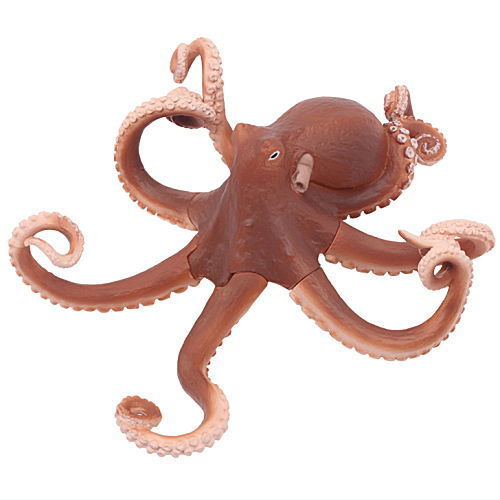 Bizarre creatures natural history [3.Octopus A]