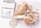 Bizarre creatures natural history [4.Octopus B]
