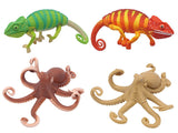 Bizarre creatures natural history [All 4 type set(Full Complete)]