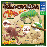Bizarre creatures natural history [All 4 type set(Full Complete)]