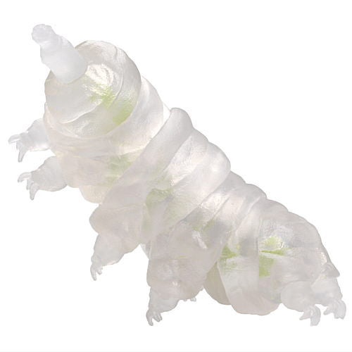 Primary Color Picture Book Series Extra Edition Tardigrade [2.Tardigrade (transparent color/predator version)]