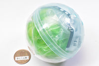 Primary Color Picture Book Series Extra Edition Tardigrade [4.Tardigrade (transparent green/predatory)]