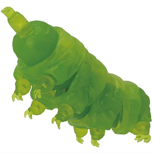 Primary Color Picture Book Series Extra Edition Tardigrade [4.Tardigrade (transparent green/predatory)]