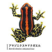 Nature Techni colour MONO PLUS Poison dart frog The BEST [3.Dendrobates ventrimaculatus ]