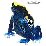 Nature Techni colour MONO PLUS Poison dart frog The BEST [5.Dyeing dart frog]