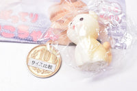 Potterri Cat Miniature Mascot [1.Brown cat (1)]