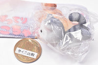 Potterri Cat Miniature Mascot [5.Gray cat (2)]