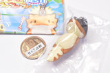 Hachu Hachu Charm BEST [2.Western African Gecko (Striped)]