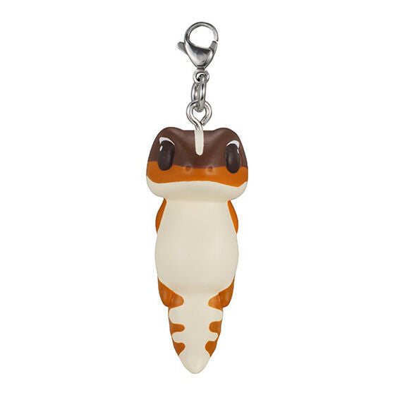 Hachu Hachu Charm BEST [2.Western African Gecko (Striped)]