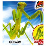 Konchu no Mori battle tournament [4.Giant mantis]