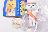 Election cat mascot figure [2.Nekonikobanto Mikeno koji]