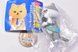 Election cat mascot figure [3.Matatabiseisanto Hachiware daigo]