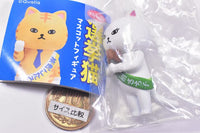 Election cat mascot figure [4.Shiawasemanekuto Shiromaneki sachiko]