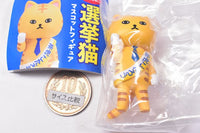 Election cat mascot figure [5.Katsubushito Chatora kotaro]