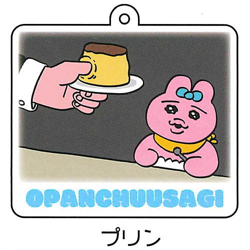 Opanchu usagi Acrylic Key Chain Part.2 [4.Pudding]