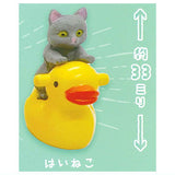 Potty cat miniature figure collection [5.Gray cat]