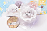 Kororin Baby Poodle [2.White]