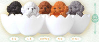 Kororin Baby Poodle [All 5 type set(Full Complete)]