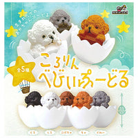 Kororin Baby Poodle [All 5 type set(Full Complete)]