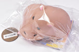 Nikoicchi Hamster [2.Brown (nokkari)]