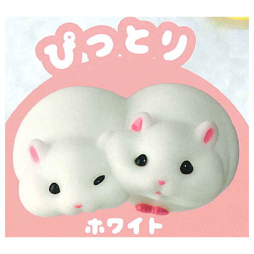 Nikoicchi Hamster [4.White (pittori)]