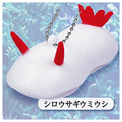 Punipuni sea slug mascot ball chain [4.White sea bunny sea slug]