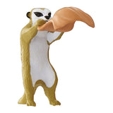 Animal Sauna Part.9 [1.Meerkat]