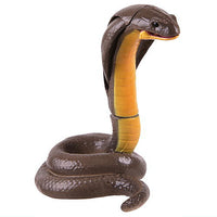 Dangerous Creature Encyclopedia Warning Order [1.Cobra A]
