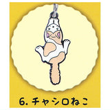 Hittsukitai Metal Charm [6.Chashiro]