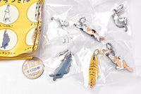 Hittsukitai Metal Charm [All 6 type set(Full Complete)]