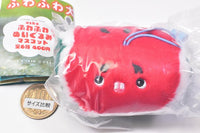 Art Univ. Techni Colour aska. fuwafuwa plush mascot [6.Suika-chan]