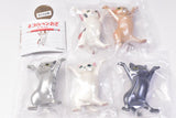 Cat pen holder Pearl ver. [All 5 type set(Full Complete)]