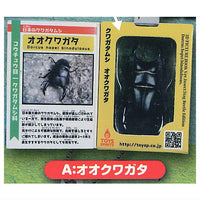 Insect Encyclopedia Mascot Stag Beetle [Sky Blue Cover] [1.Large Stag Beetle]