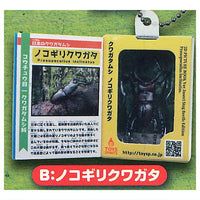 Insect Encyclopedia Mascot Stag Beetle [Sky Blue Cover] [2.Nokogiri Kuwagata]