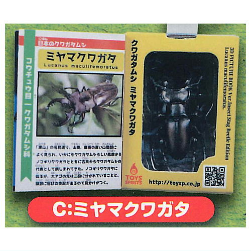 Insect Encyclopedia Mascot Stag Beetle [Sky Blue Cover] [3.Miyama Stag Beetle]