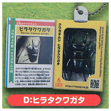 Insect Encyclopedia Mascot Stag Beetle [Sky Blue Cover] [4.Hirata Stag Beetle]