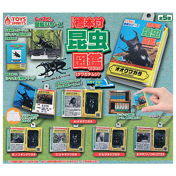 Insect Encyclopedia Mascot Stag Beetle [Sky Blue Cover] [All 5 type set(Full Complete)]