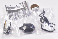 Ikimono Encyclopedia Mini Collection Insect Part.3 [4.Grant shirokabuto (black)]