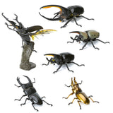 Ikimono Encyclopedia Mini Collection Insect Part.3 [All 6 type set(Full Complete)]