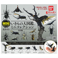 Ikimono Encyclopedia Mini Collection Insect Part.3 [All 6 type set(Full Complete)]