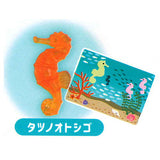 Miniature aquarium [4.Seahorse]