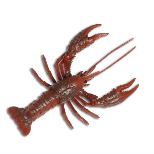 Crayfish gamma [1.Dark red]