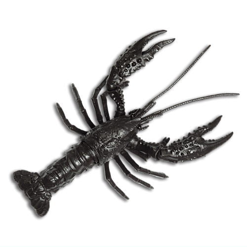 Crayfish gamma [4.Black]