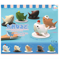 Leonarudo Shark cake shop mascot [All 5 type set(Full Complete)]