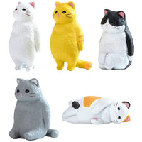 Kyomu. Cat [All 5 type set(Full Complete)]