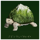 Panda's ana Mountain Turtles [2.Green winged tortoise]