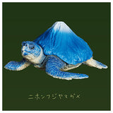 Panda's ana Mountain Turtles [4.Japanese Fujiyama Turtle]