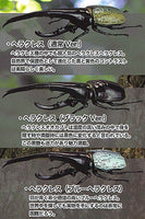 1/1 scale Hercules beetle ver2.0 [All 3 type set(Full Complete)]